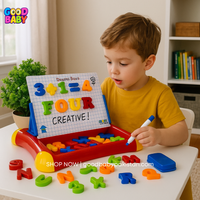 Write & Draw Magnetic Learning Case
