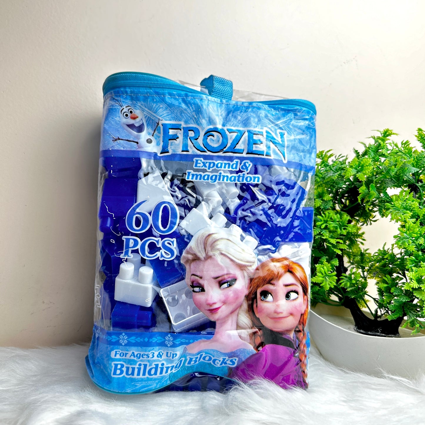 Frozen Blocks Set 60 Pieces