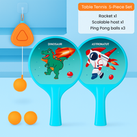 wall mounted ping pong trainer pakistan
